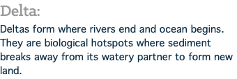 Delta: Deltas form where rivers end and ocean begins. They are biological hotspots where sediment breaks away from its watery partner to form new land.
