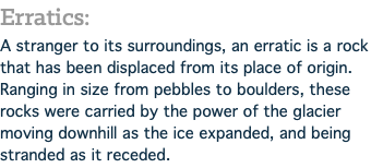 Erratics: A stranger to its surroundings, an erratic is a rock that has been displaced from its place of origin. Ranging in size from pebbles to boulders, these rocks were carried by the power of the glacier moving downhill as the ice expanded, and being stranded as it receded.